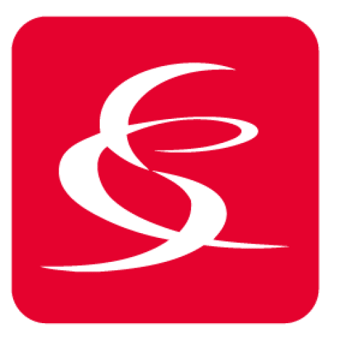 Icon salsa